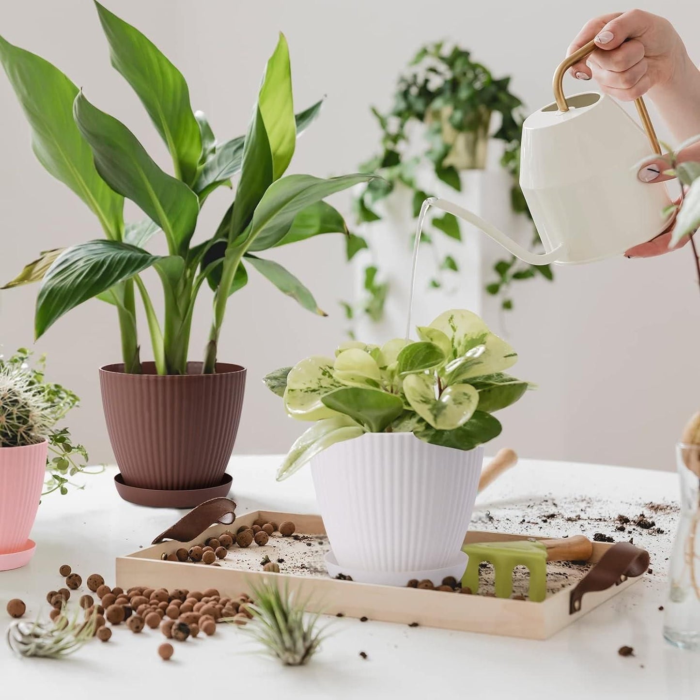 Plastic Round Flower Pot with Drainage Holes & Tray – Indoor/Outdoor