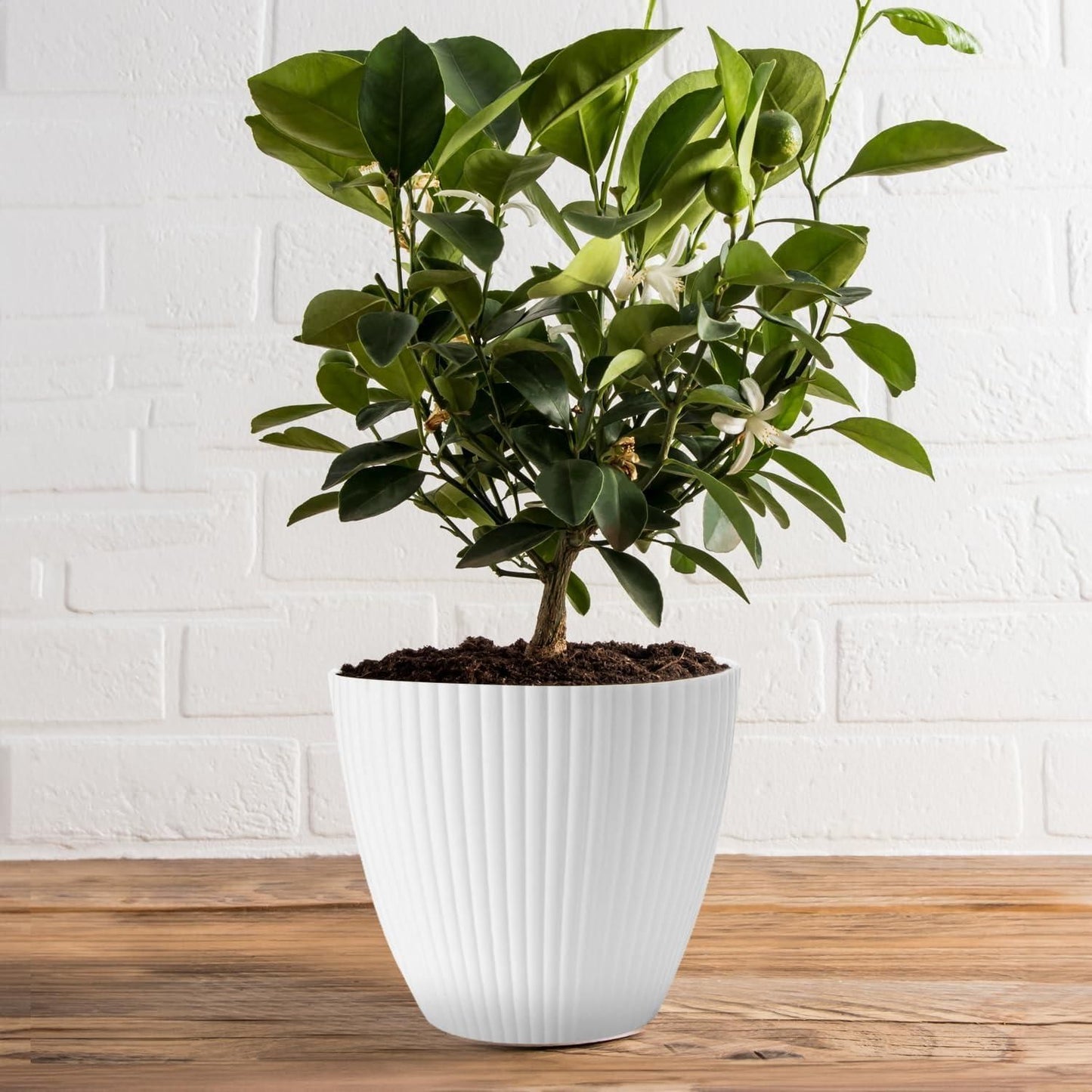 Plastic Round Flower Pot with Drainage Holes & Tray – Indoor/Outdoor