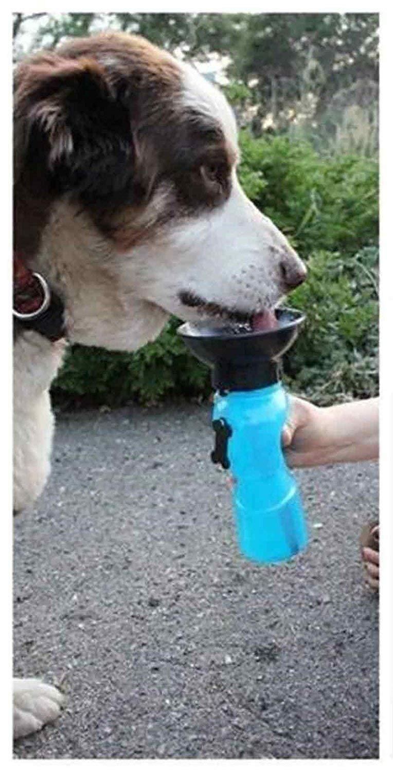 Outdoor Portable Dog Water Bottle – Leak-Proof Drinking Cup for Pets