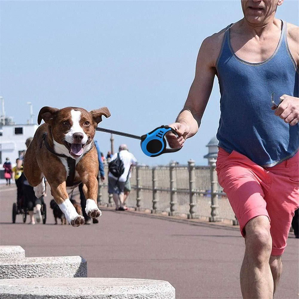 Retractable Pet Leash – 500 cm Long (Multicolor)