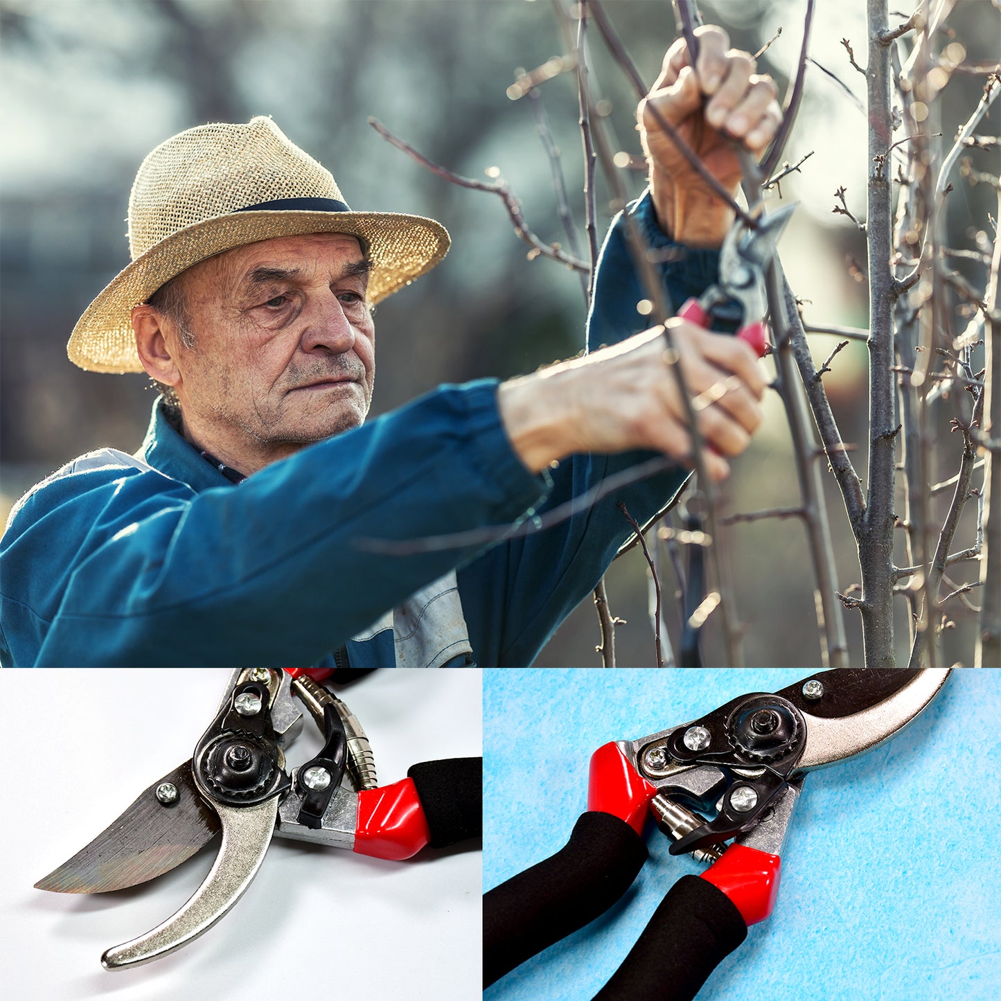 21 cm Red Garden Shears Sharp Cutter Pruners Scissor Pruner.