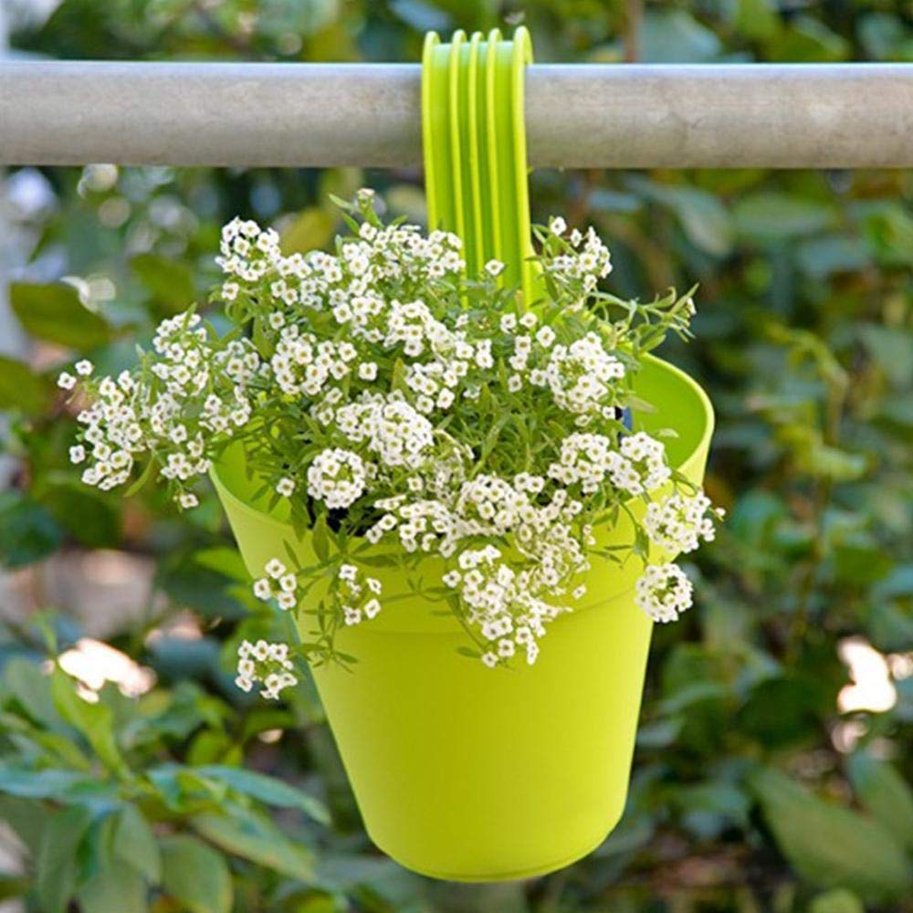 Plastic Hanging Planter Pot – Self-Watering Wall Garden Kit (Multicolour)